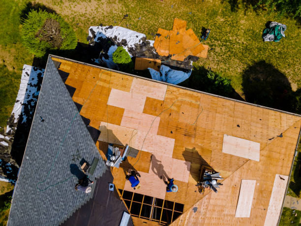 Roof Gutter Cleaning in Seven Corners, VA