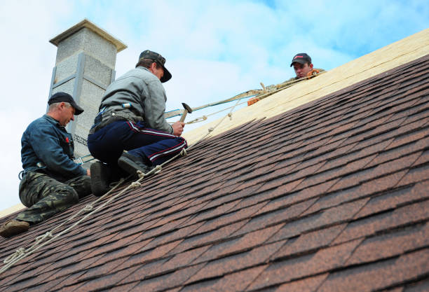 Best Roof Gutter Cleaning  in Seven Corners, VA
